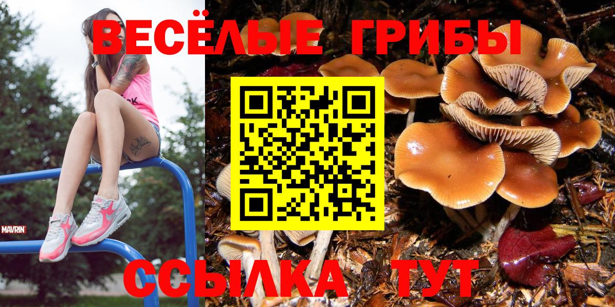 Галлюциногенные грибы MAGIC MUSHROOMS  Вход с VPN  Протвино 