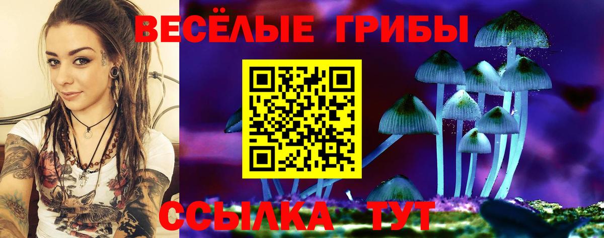 Галлюциногенные грибы Psilocybe Протвино